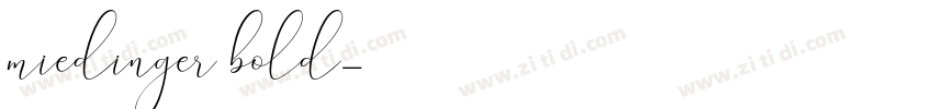 miedinger bold字体转换
